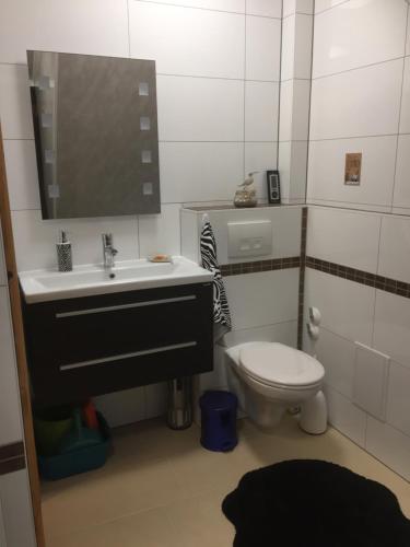 a bathroom with a toilet and a sink and a mirror at Unter dem Dach mit Parkplatz in Bremen
