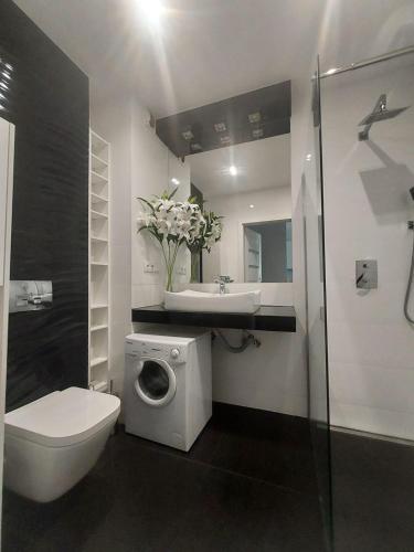 bagno con servizi igienici, lavandino e lavatrice. di Modern Apartment - Francuska Park a Katowice