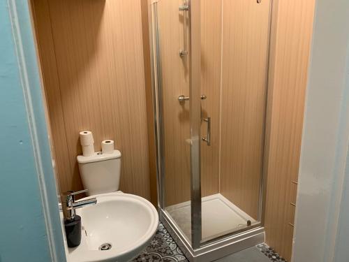a bathroom with a toilet and a glass shower at Nelson st (VIEWPARK) in Largs