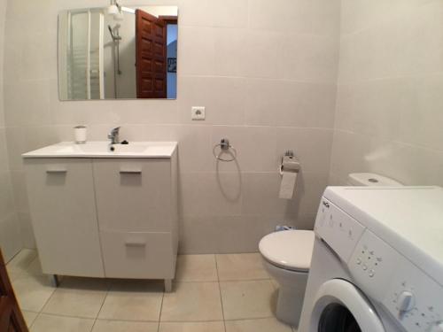 uma casa de banho com um lavatório, um WC e um espelho. em Garden Apartment, La Noria em Málaga
