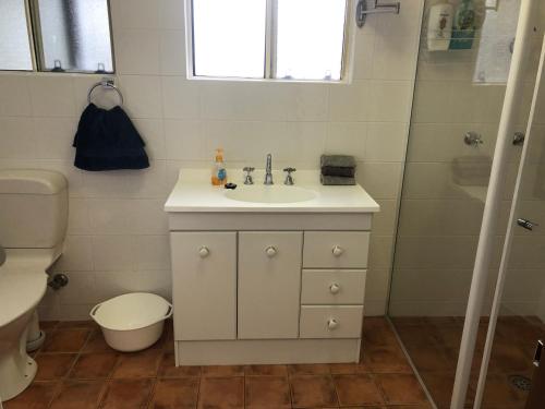 a bathroom with a sink and a toilet and a shower at Walsh Farm Farmstay in Milton