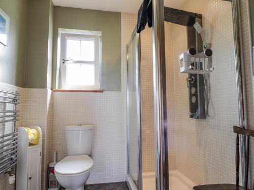łazienka z toaletą i prysznicem w obiekcie Ridge End Cottage w mieście Kilmaluag