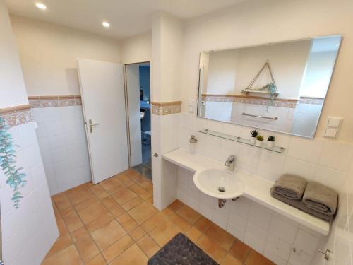 een badkamer met een wastafel, een spiegel en een douche bij Haus Wehner in Stadtoldendorf