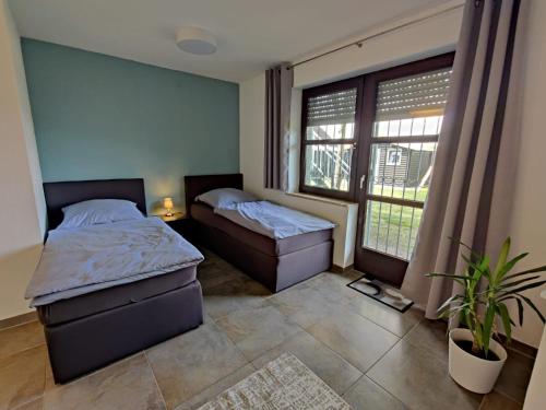 a bedroom with two beds and a plant in it at Haus Wehner in Stadtoldendorf