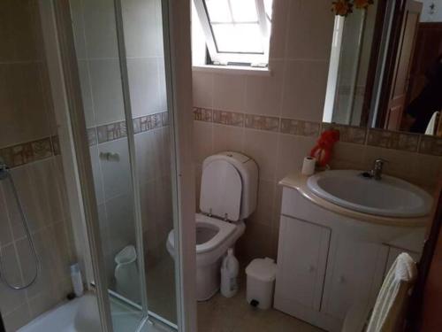 y baño con aseo, lavabo y ducha. en Peaceful 2-Bed Villa in Assafarge Coimbra, 