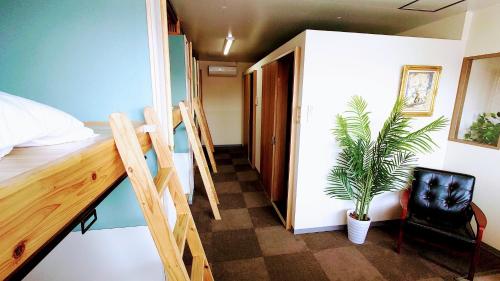 Sanuki的住宿－宿 inn TEK-TEK，一间卧室配有一张双层床和盆栽植物