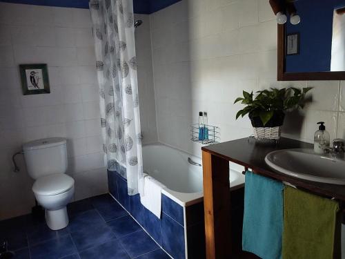 a bathroom with a toilet and a tub and a sink at La kuruxa cantabra in La Cavada