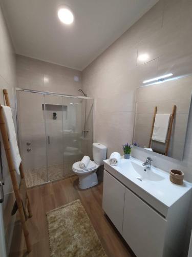 a bathroom with a toilet and a sink and a shower at Casa da Avó Laurinda in Valado dos Frades
