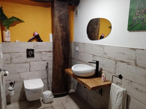 a bathroom with a sink and a toilet and a mirror at Casa Rural Nemesio in Iturmendi
