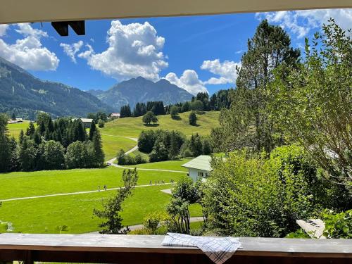 a view of a green field with mountains in the background at Fewo 2 am Auweg in Hirschegg