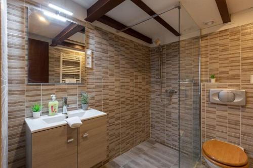 a bathroom with a shower and a toilet and a sink at Stylish loft flat in the heart of Budapest in Budapest