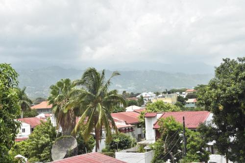 a view of a city with palm trees and buildings at The president room 5 minutes to Devon House 4 Waterloo Avenue Kingston in Kingston