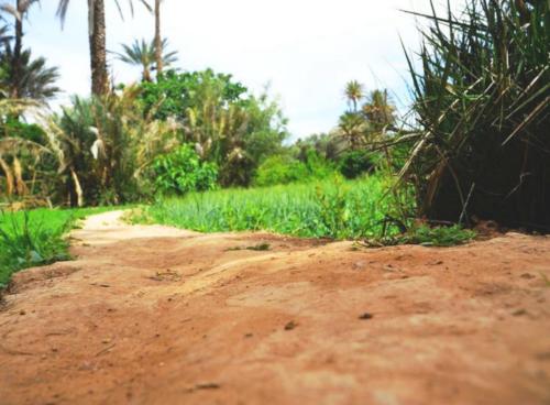 a dirt road in the middle of a field at Hotel Restaurant La Kasbah in Tinerhir