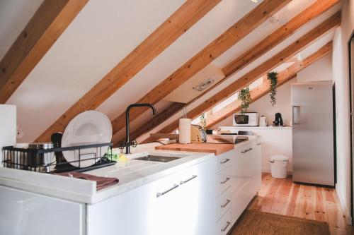 Kuchyň nebo kuchyňský kout v ubytování DOWNTOWN FASHION APARTMENT