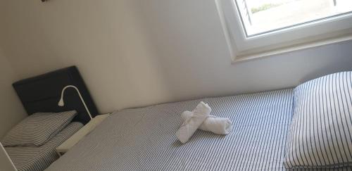 Apartment Blue
