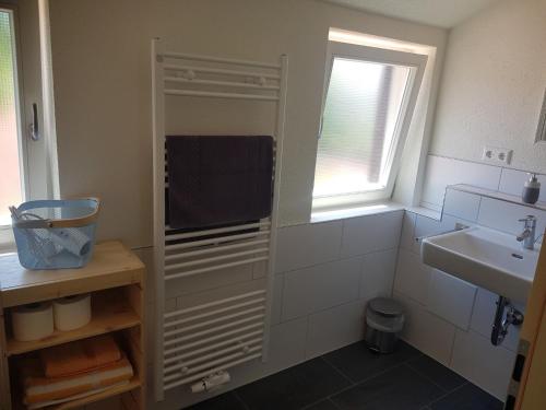 a small bathroom with a sink and a shower at Lamm - Wohnung 4 in Spiegelberg