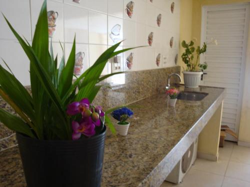 a kitchen with a counter with plants and a sink at Hotel Porto da Lua Belém in Belém