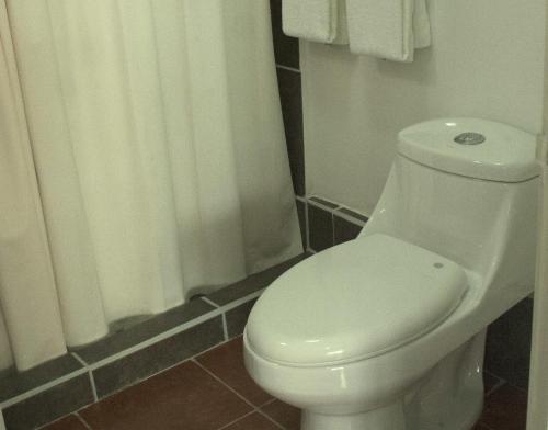 a bathroom with a white toilet and a shower at Sol Pacifico Lodge in Cascajal