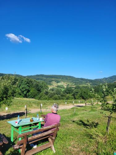 a woman sitting on a bench with a picnic table at Venera in Kosjerić
