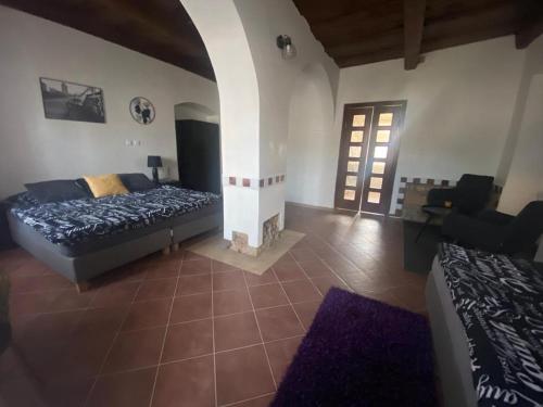 a bedroom with a bed and a couch in a room at Apartmány Vila Lucia 1 in Pilsen