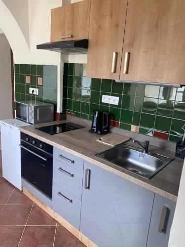 a kitchen with a sink and a stove at Vila Lucia - Apartmán 1 in Plzeň