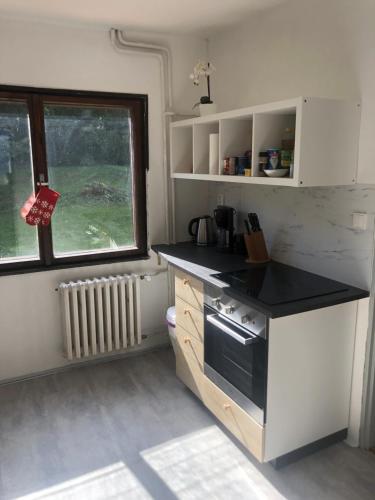 uma pequena cozinha com um fogão e uma janela em Chalet Gamma em Jáchymov