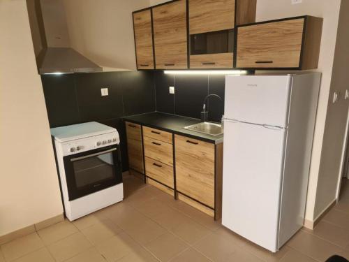 una cucina con frigorifero bianco e armadietti in legno di Urban City Apartments a Xylokastron