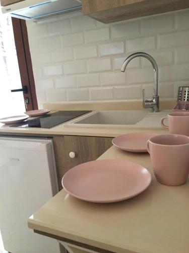dos platos rosas en un mostrador en una cocina en Casa Rural Abuelo Teo, en Campo de Criptana
