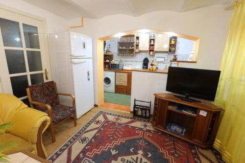 Il comprend un salon avec une télévision et une cuisine. dans l'établissement Casa Ianna, à Sibiu