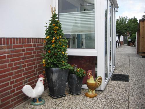 a house with two potted plants and chickens in front of a window at Gästehaus Bremer in Cuxhaven