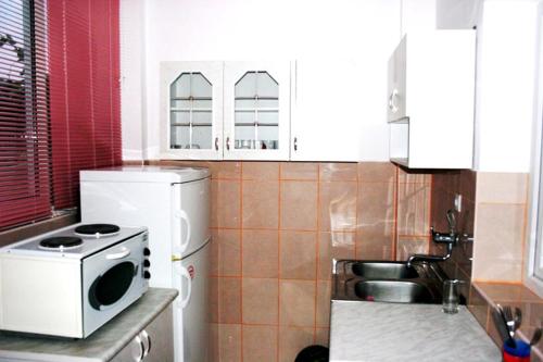 a kitchen with a sink and a microwave in it at Guest House Ivana in Žvinje