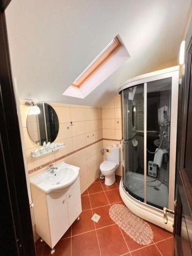 ein Badezimmer mit Dusche, Waschbecken und Toilette in der Unterkunft Vila Alsace Podu' cu Lanturi in Bacău