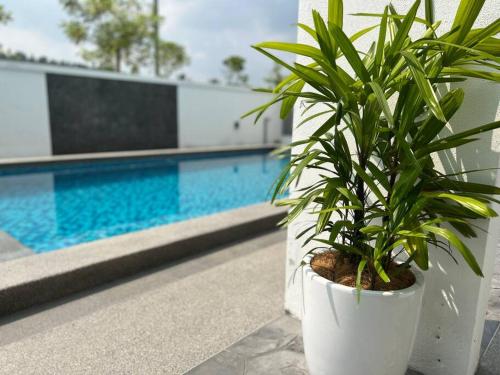 Πισίνα στο ή κοντά στο Anjung Serene + Private Pool (10 pax) @ Semenyih