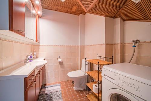 a bathroom with a sink and a toilet at Levillas Golfväylä 3C in Levi