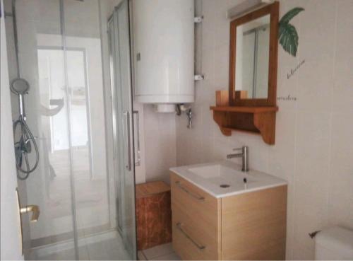 uma casa de banho com um chuveiro, um lavatório e um espelho. em Front de Mer et Grande Piscine pour un appartement chic et cosy, appartement en résidence à Canet en Roussillon, à 10 minutes de Perpignan em Canet-en-Roussillon