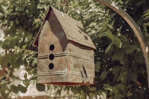 une maison ornithologique suspendue à un arbre dans l'établissement Karargah Urla, à Urla