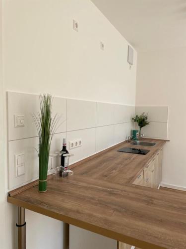 Kuchyň nebo kuchyňský kout v ubytování Gästehaus Hoppegarten