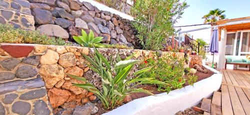 Zahrada ubytování CASA LA ISLA - Tarajalejo - GlasfaserInternet - Garten