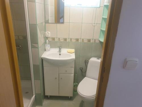 uma pequena casa de banho com lavatório e WC em Domek u Ani em Orelec