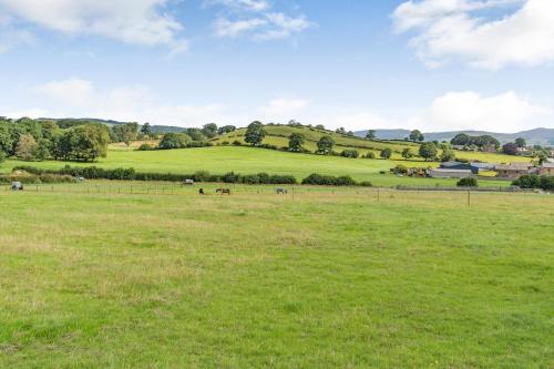 a field of green grass with horses in the distance at Ingleborough View in Carnforth