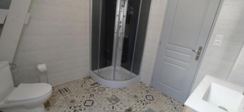 a bathroom with a shower and a toilet at Les Gîtes de l'Abbatiale in Selles-sur-Cher