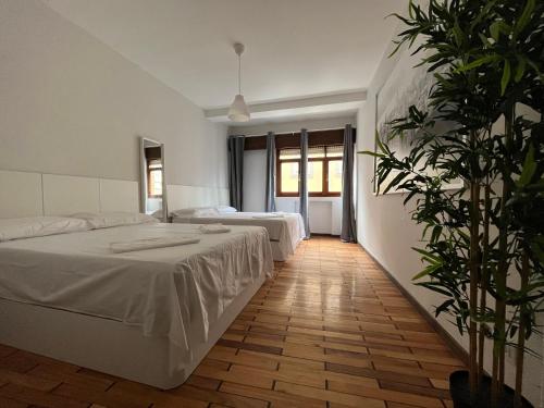 a bedroom with two beds and a potted plant at MSuites Viveiro in Viveiro