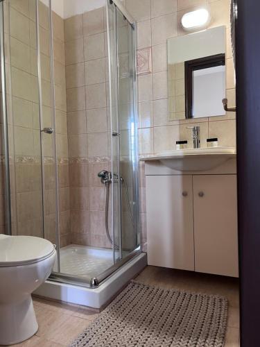 a bathroom with a shower and a sink and a toilet at GRAND Boutique Studios in Afissos