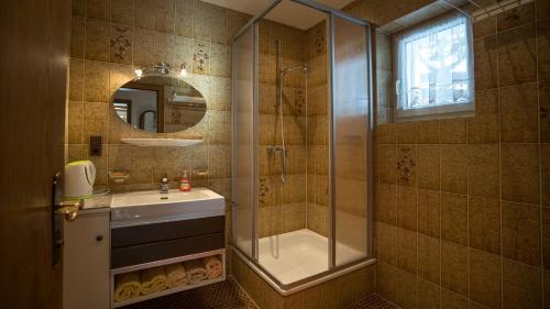 ein Bad mit einer Dusche, einem Waschbecken und einem Spiegel in der Unterkunft Haus Lutz in Nauders