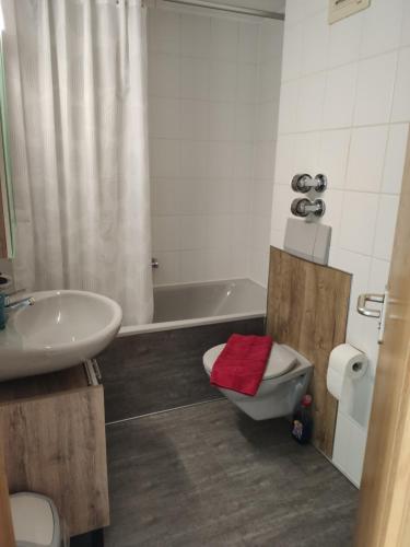 a bathroom with a sink and a toilet and a tub at Bollenhut Superior in Lenzkirch