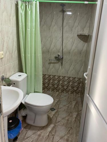 a bathroom with a toilet and a shower and a sink at Happy Holiday in Akhaltsikhe