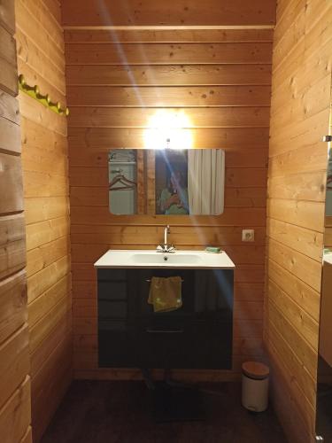 une salle de bain avec un lavabo et un miroir dans l'établissement Suite parentale dans maison en bois calme - frigo, vue jardin, à Carcans