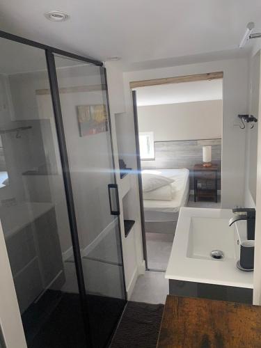 une salle de bain avec douche et lavabo et une chambre dans l'établissement Les Cygnes au bord du loing, à Montigny-sur-Loing