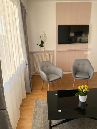 a living room with two chairs and a tv at Panoramic View Studio - 15 min from Paris in Joinville-le-Pont