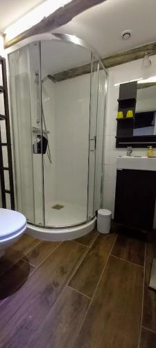 une salle de bain avec une douche en verre dans une chambre dans l'établissement La Maïsou-Pastel et Fleur, à Sérignac